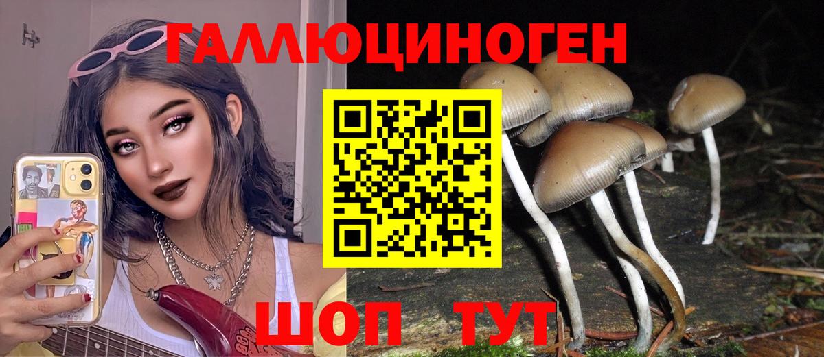 Псилоцибиновые грибы ЛСД  Вход с VPN  сколько стоит  Новоалександровск 