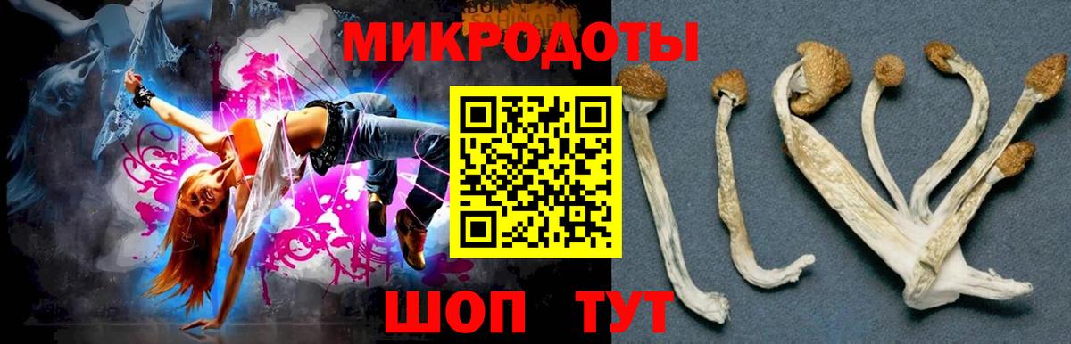Псилоцибиновые грибы мицелий Новоалександровск