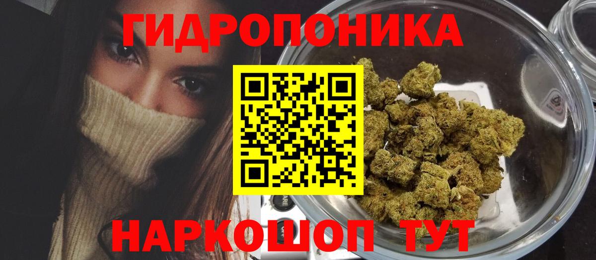 Шишки марихуана семена Новоалександровск